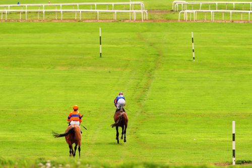 The Curragh