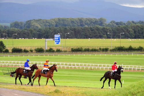 Curragh