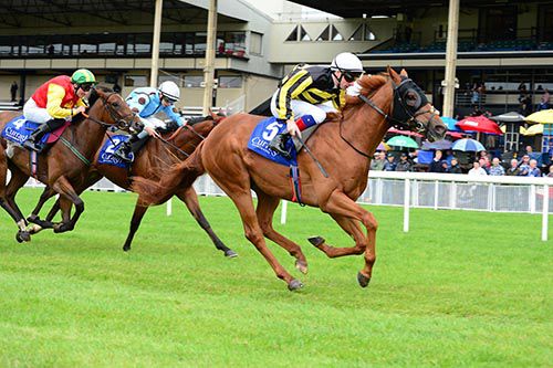 Red Sabor sees them off in the Curragh