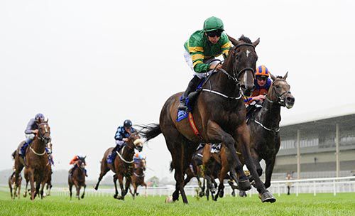 Landfall wins under Niall McCullagh