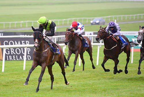 Morga and Ronan Whelan in command at the Curragh