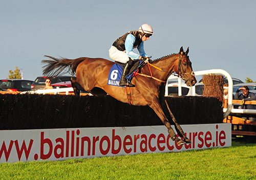 Killiney Court wins easily under Mikey Fogarty