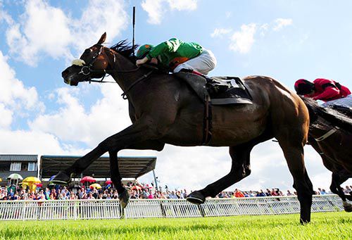 Full Shilling and Dylan Hogan pictured on their way to victory