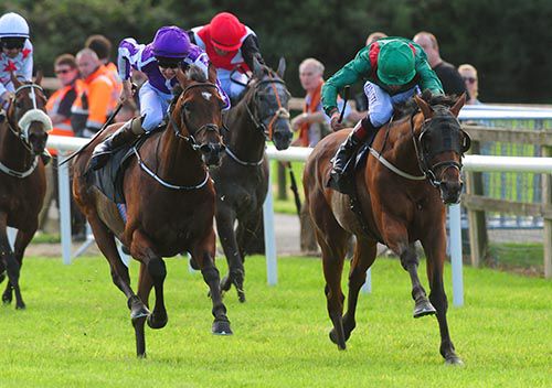 Radanpour (right) is driven out by Pat Smullen to beat Romanesque and Donnacha O'Brien