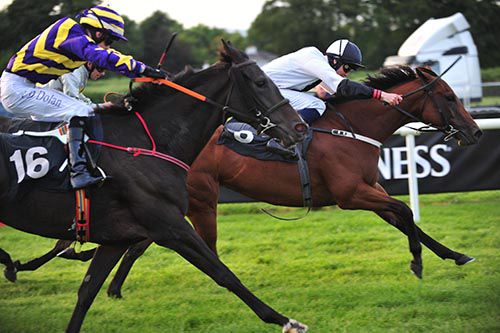 Royal Roslea holds off the late surge of Rolanna (nearest)