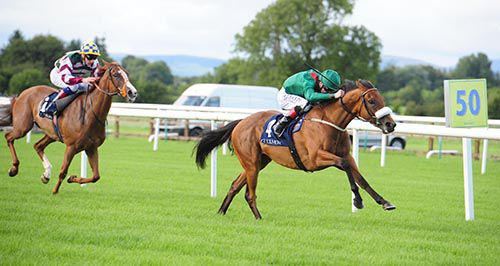 Tanaza and Pat Smullen pictured on their way to victory, with Creggs Pipes back in second