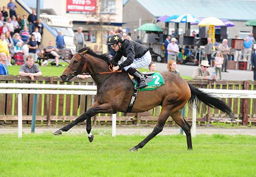 Spirit Quartz leads them home under Shane Foley