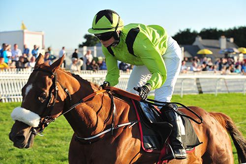 Stolen Diamond comes home in front under Katie O'Farrell