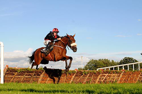 Peregrine Run and Roger Loughran are clear over the last