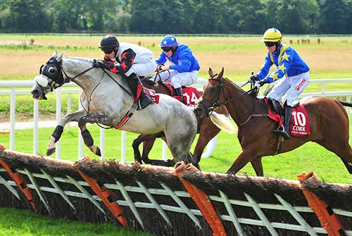 Magnetic Force, grey, leads them home in Cork