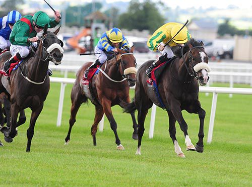 Sea Wolf, right, prevails in the Irish Cambridgeshire