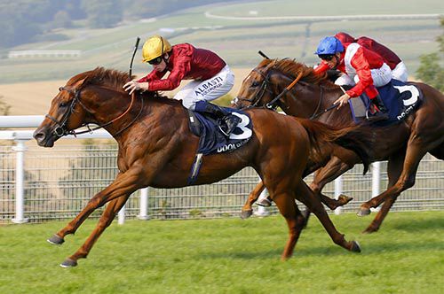 Zonderland chased home Lightning Spear at Goodwood