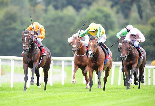 Forrest Prince (left) is ridden out by Ronan Whelan to see off Mack Attack and Colin Keane (yellow)
