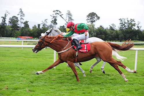 Rashaan (nearest) is ridden out by Niall McCullagh to beat Dalmatia