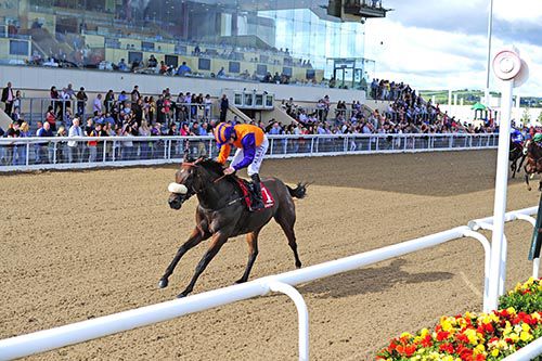 War Room a comfortable winner