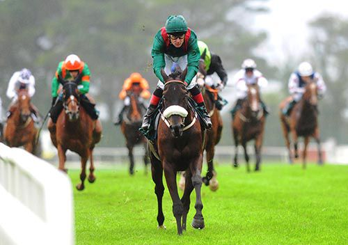 Almela comes home an easy winner under Pat Smullen