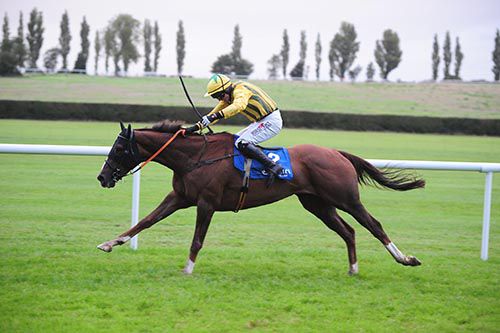 Sillogue Pio and Johnny Barry stride clear in the bumper