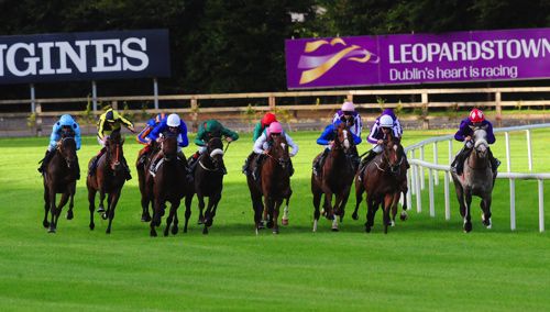 The 2016 Qipco Irish Champion Stakes 