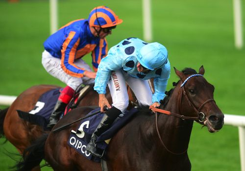 Almanzor