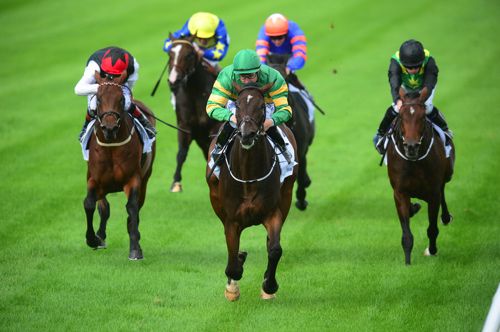 Landfall leads home his rivals at Leopardstown on Saturday