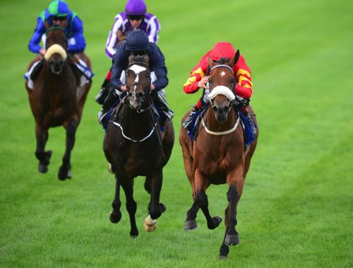 Zhukova winning at Leopardstown