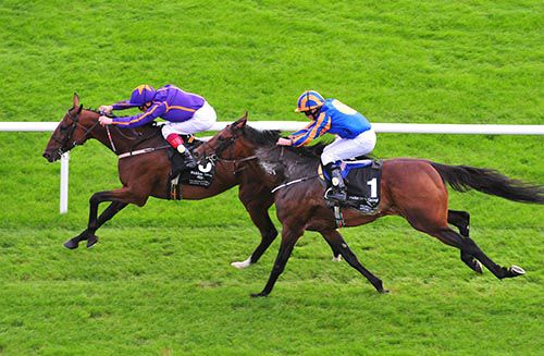 Wicklow Brave and Frankie Dettori hold off Order Of St George and Ryan Moore
