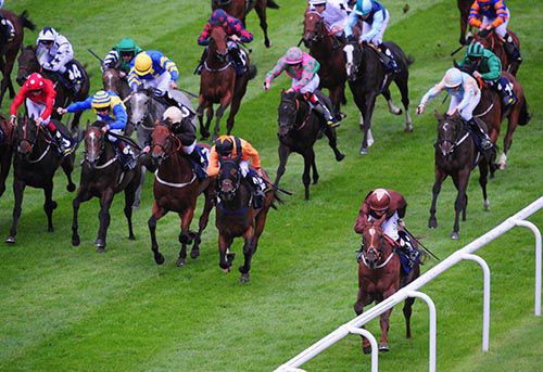 Orewa and Chris Hayes leads them home on the rail