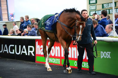 Faugheen