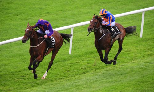 Wicklow Brave winning at the Curragh