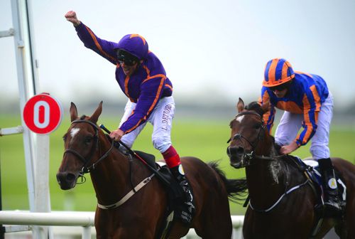 Wicklow Brave winning Irish Leger last year