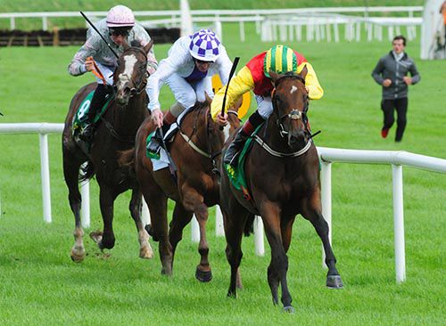Grecian Divine is ridden out by Pat Smullen