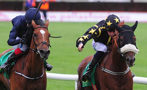 Nannys Well (right) is ridden out by Ross Coakley to beat Hibiscus 