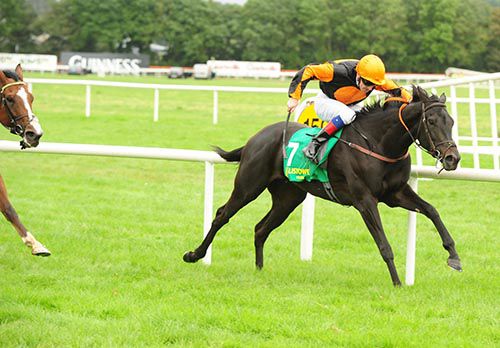 Dew Line and Declan McDonogh race to victory
