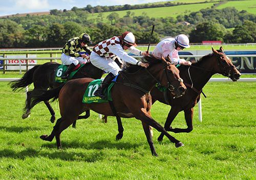 Ask Katie (nearest) claims Miss Ballygally