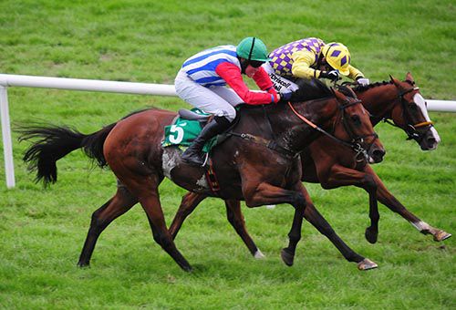 Miss Eyecatcher (nearest) claims Dos Picas