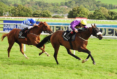 Zafayan winning at Listowel