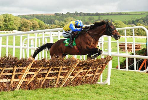 Garri Rua and Danny Mullins 