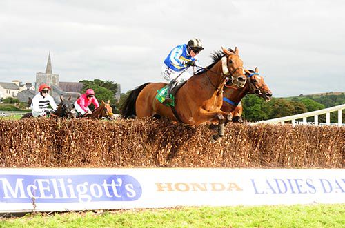 Curragh Golan takes the spoils under Paul Townend