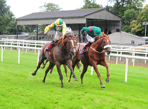 Massayan and Pat Smullen (right) and Moonmeister