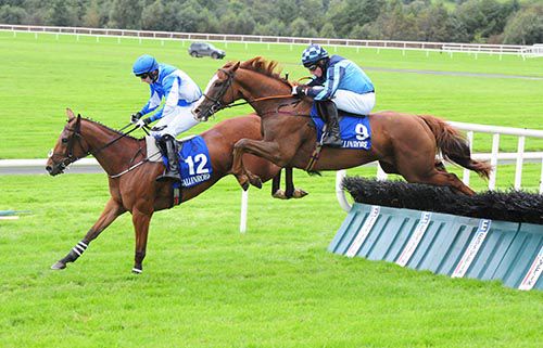 Tornado Watch and Mikey Fogarty (number 9) comes through to beat Mic Milano