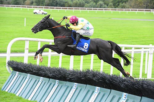 Freedom Statue and Paul Townend come home in style at Ballinrobe