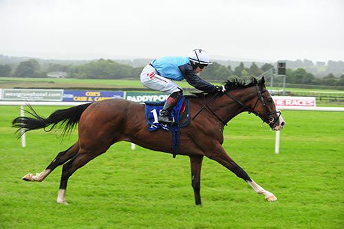 Territory and Colin Keane