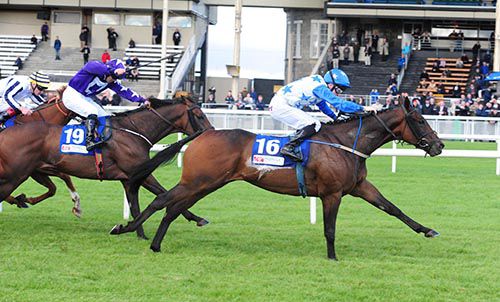 Tithonus and Gary Halpin lead them home in the Joe McGrath