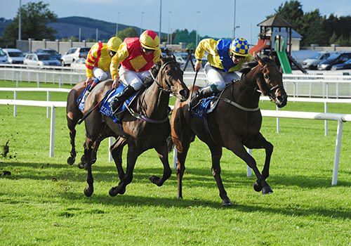 In the yellow and blue silks, Billy Lee gets Texas Rock home in front from Jacobs Well