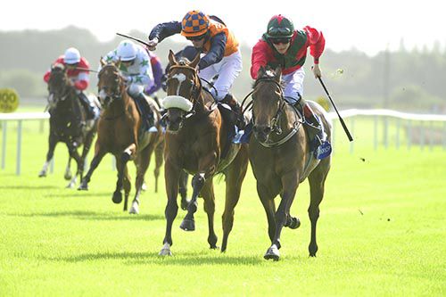 Dinky Inty, right, beats Catch A Wave into second at Fairyhouse
