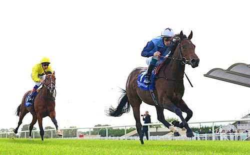 Moonlit Show in charge at Fairyhouse