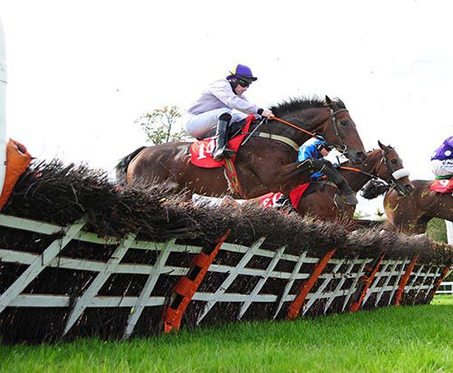 Omega Springs (nearside) and Sean Flanagan on the way to landing the 2m handicap hurdle