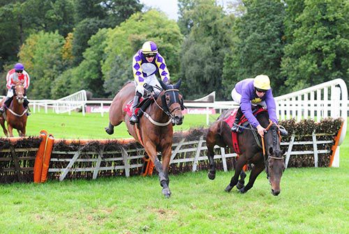 Call Vinnie and Conor Brassil come to grief as Coolbane West and Danny Mullins stay together for the win