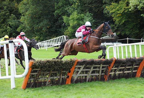 Blood Crazed Tiger and David Mullins