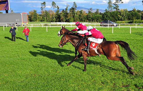 Lieutenant Colonel (far side) and Just Cause battle on the run-in